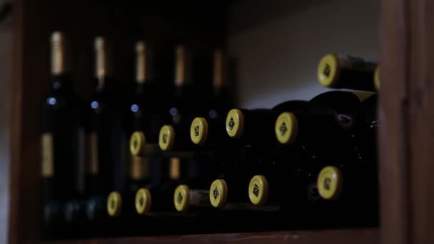 Láhve Vína Uložené Vinném Sklepě Vinařství — Stock video