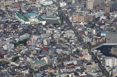 Tokyo, Japonya 'nın panoramik hava manzarası. Tokyo şehir manzarası yukarıdan. 