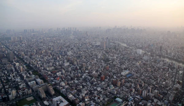 Panoramic aerial view of Tokyo, Japan. Tokyo urban city view from above.
