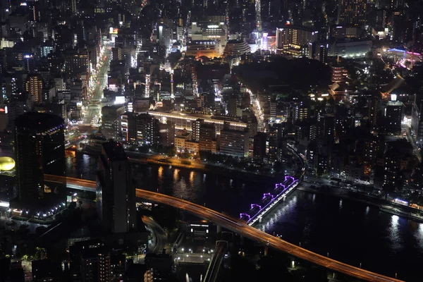Veduta Aerea Panoramica Tokyo Giappone Tokyo Città Urbana Vista Dall — Foto Stock