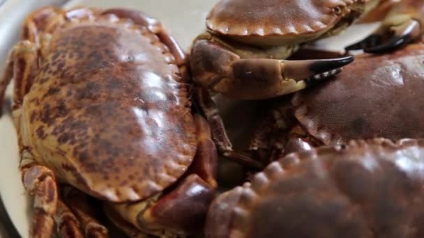 活螃蟹水蟹的特写镜头 海鲜概念 — 图库视频影像
