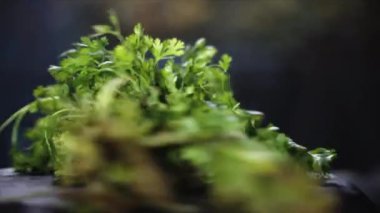 Fresh green coriander (kothmeer or Dhanabhaji) on black shiny surface, cinematic shot. 4K footage.