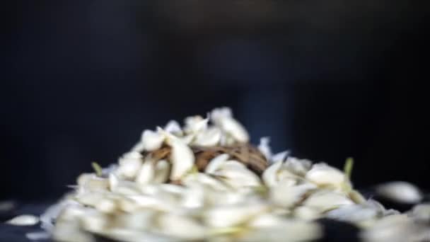 Shot Garlic Cloves Wicker Basket Black Wooden Surface Garlic Wooden — Stockvideo