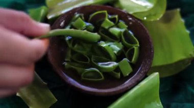 Aloe Vera bir kil kasesinde, 24 fps 'de tam HD görüntüler bırakır. Cilt bakımı, sağlık konsepti. Bir damla Aloe Vera taze meyve suyu. Taze aloe vera yaprakları siyah parlak bir yüzey üzerinde kil bir kase içinde..