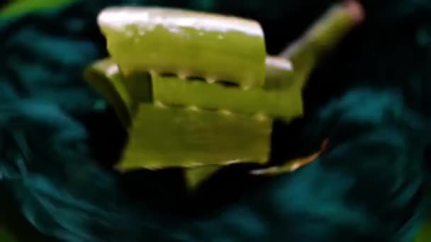 Aloe Vera Leaves Black Surface Full Footage Fps Skin Care — Wideo stockowe