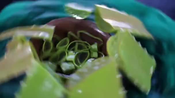 Aloe Vera Leaves Clay Bowl Full Footage Fps Skin Care — Vídeos de Stock