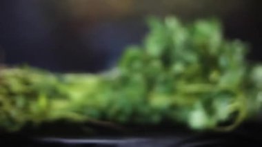 Close-up blurred shot of fenugreek leaves on a wooden surface. A bunch of fresh green fenugreek leaves on a black wooden surface. 4K footage.