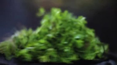 Close-up shot of a fresh bunch of coriander leaves on a black surface, full Hd footage.