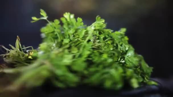 Close Shot Fresh Bunch Coriander Leaves Black Surface Full Footage — Stockvideo