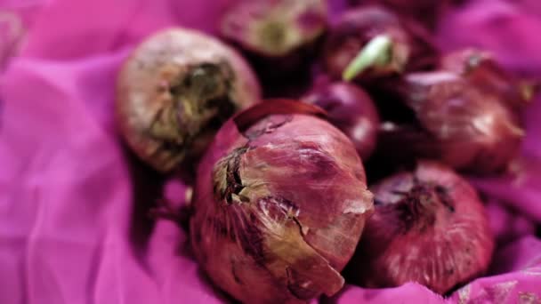 Close Shot Man Putting Some Raw Onion Allium Cepa Pink — Stok video