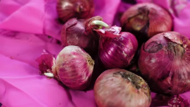 Close Shot Man Putting Some Raw Onion Allium Cepa Pink — Wideo stockowe