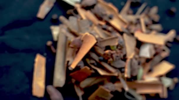 Közelkép Nyers Indiai Leggyakrabban Használt Fűszerek Fekete Felületen Kardamom Fahéj — Stock videók