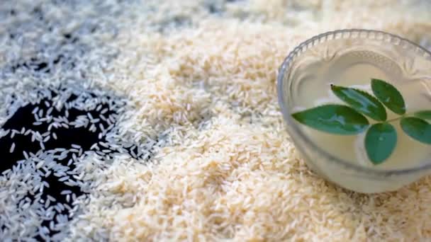 Nahaufnahme Roher Lacschkari Kolam Reiskörner Auf Schwarzer Oberfläche Zusammen Mit — Stockvideo
