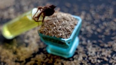 Dolly shot of jeera zeera oil in a bottle glass bowl on a black parlayan face with ham zeera cumin seed (Cuminum). HD görüntüler 24 FPS.