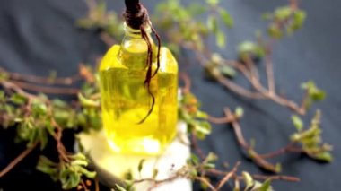 Yüksek kaliteli tütsü ya da fesleğen yaprağı, ahşap bir yüzeyde taze fesleğen yaprağı, kutsal fesleğen (Ocimum bazilika) Dolly shot 24FPS görüntüsü.