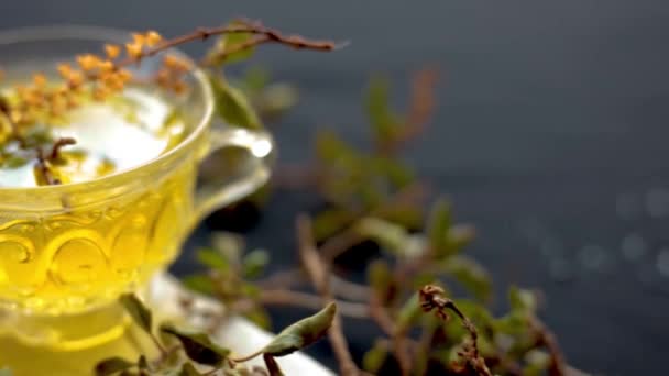Zdjęcia Tulsi Lub Herbaty Liści Bazylii Szklanym Kubku Wraz Świeżymi — Wideo stockowe