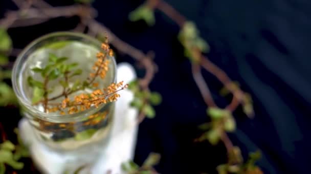 Cinematic Shot Tulsi Basil Leaf Extract Glass Fresh Basil Leaves — Wideo stockowe