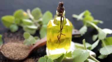 Ajwain 'in yüksek çözünürlüklü görüntüsü, yağıyla birlikte parlak siyah bir yüzeye çıkıyor. Trachyspermum ammi ya da Caraway 'in yağ ile birlikte bıraktığı yüksek kaliteli görüntüler..