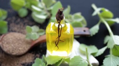Ajwain 'in yüksek çözünürlüklü görüntüsü, yağıyla birlikte parlak siyah bir yüzeye çıkıyor. Trachyspermum ammi ya da Caraway 'in yağ ile birlikte bıraktığı yüksek kaliteli görüntüler..