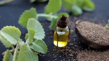 Ajwain 'in HD görüntüsü, parlak siyah bir yüzey üzerinde özüyle birlikte ayrılır. Trachyspermum ammi ya da Caraway 'e ait yüksek kaliteli görüntüler ve gerekli yağ şişesi..