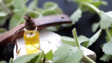 Ajwain 'in HD görüntüsü, parlak siyah bir yüzey üzerinde özüyle birlikte ayrılır. Trachyspermum ammi ya da Caraway 'e ait yüksek kaliteli görüntüler ve gerekli yağ şişesi..