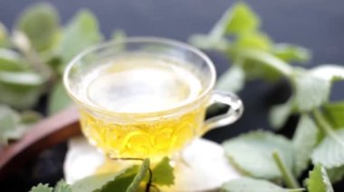 Ajwain 'in HD görüntüsü, bitkisel çayıyla birlikte parlak, siyah bir yüzeye yakın bir çay fincanında ayrılıyor. Trachyspermum ammi ya da Caraway 'in yüksek kaliteli görüntüleri ve soğuk algınlığı için kullandığı çay..