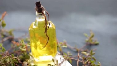 Fesleğen ya da tulsi çiğ yağla birlikte ahşap bir yüzey üzerinde ahşap bazilika yaprakları, HD 'de çekilen çiğ fesleğen yaprakları..