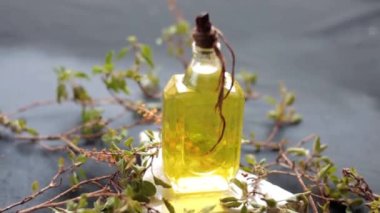 Fesleğen ya da tulsi çiğ yağla birlikte ahşap bir yüzey üzerinde ahşap bazilika yaprakları, HD 'de çekilen çiğ fesleğen yaprakları..