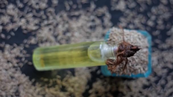 在黑色木制表面上 用透明瓶子中的高清杰拉尔油与生孜然种子 Cal Cyminum 一起拍摄 — 图库视频影像