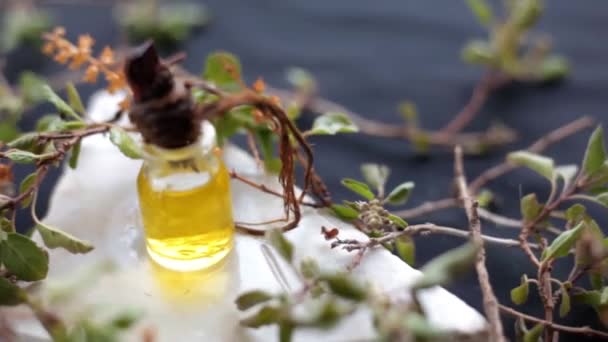 Bazalka Nebo Tulsi Esence Malé Lahvičce Spolu Syrovým Listem Ocimum — Stock video