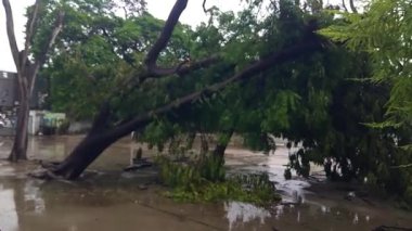 Junagad, Gujarat-Hindistan. 15 Haziran 2023. Şiddetli yağmur ve Biparjoy kasırgası. Şiddetli yağmur ve fırtına Biparjoy Kasırgası yüzünden. Şiddetli yağış ve Biparjoy nedeniyle rüzgarlar.