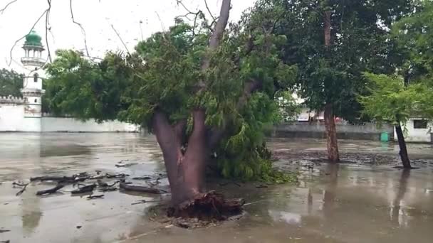 Junagadh Gujarat Indien Juni 2023 Kraftigt Regn Och Vindar Biparjoy — Stockvideo
