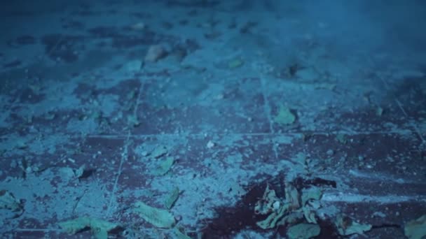 Κοντινό Πλάνο Από Φύλλα Συντριμμιών Αίμα Και Σκόνη Στο Πάτωμα — Αρχείο Βίντεο