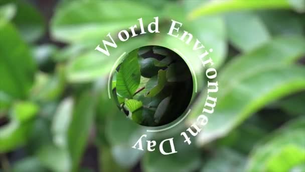 世界環境デー 緑の森の中で回転する惑星地球をループ — ストック動画
