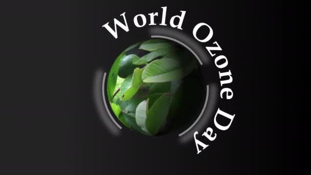 3D球4Kアルファで創造的な世界オゾン日 放送グラフィック要素世界オゾン日球文字付きBg — ストック動画