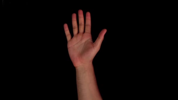 Alfabesi Amerikan Işaret Dili Video Gösterisi Amerikan Şaret Dili Asl — Stok video