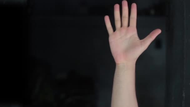 Alfabetu Amerykański Język Migowy Wideo Demonstracji American Sign Language Asl — Wideo stockowe