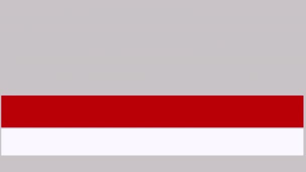 红色和白色正方形的下第三层设计动画在阿尔法通道中进进出出 Uhd标题行动包 理想的电视及广播服务 — 图库视频影像