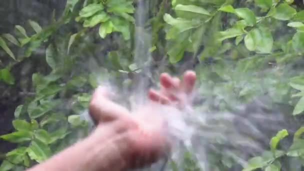 重い雨の閉鎖の下で人間の手 背景にある木 Fps Prores — ストック動画