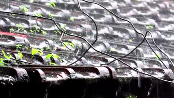 Geleneksel Köy Evinin Çamurlu Kiremit Çatısına Şiddetli Yağmur Yağıyor Fps — Stok video