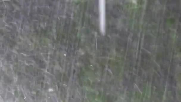 森の中の雲の爆発の後の重い雨 Fps Prores — ストック動画