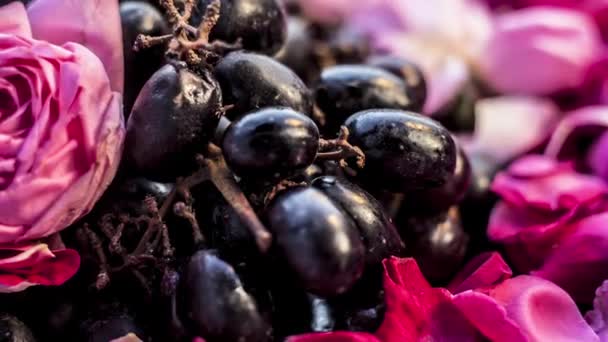 ローズとブドウ ファサック Fps 新鮮な黒と紫のバラの花束 — ストック動画