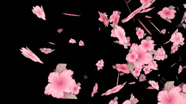 Kiraz çiçeği, tutkulu çiftler evlilik yıl dönümü konsepti için arka planda kalıyor. Sevgililer Günü 'nde evli çiftler için romantik, ışıltılı yapraklar..