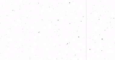 Eski Film Efekti ile Film Döküntüsü: Orijinal Eski Film Hasarı Görünüm (Vintage Look 124; Retro Film Estetiği ve Gerçekçi Giyimi ile Videoları Arttır - 4k