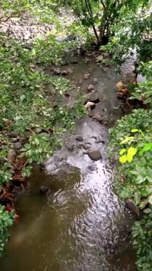 Dikey HD Yağmur Suyu Ağaçlar, Taşlar ve Çakıl Çakılları Doğal Akımı Sahnesi