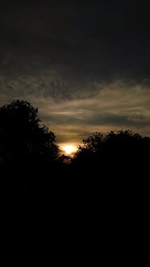 Gölde Dikey Altın Saat Günbatımında Ağaçlar Sükunet Gökyüzü, Hafif Rüzgar ve HD Görüntü Yansımaları