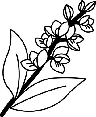 Tayland orkidesinin siyah beyaz simgesi