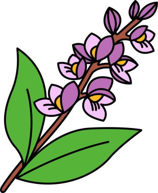 Tayland orkidesinin resim simgesi