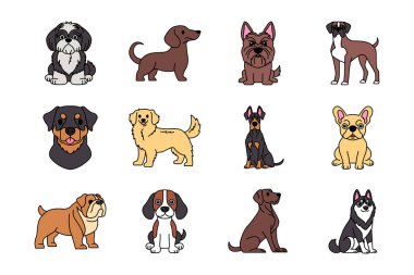 Safkan köpek ikonlarının toplanması