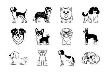 Safkan köpeklerin siyah ve beyaz çizimlerinin koleksiyonu